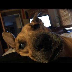 Meet your Posher, Chad